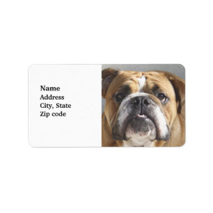 Etiqueta Cara do buldogue - buldogue inglês, Brown