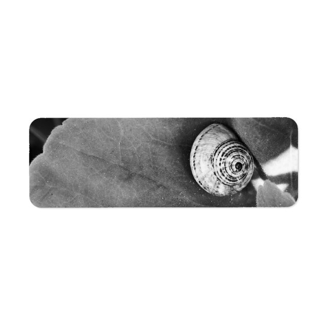 Etiqueta Caracol (Frente)