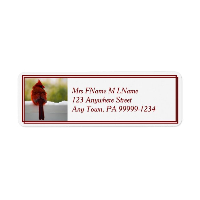 Etiqueta Cardeal Em Neve (Frente)