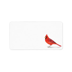 Etiqueta Cardeal masculino vermelho