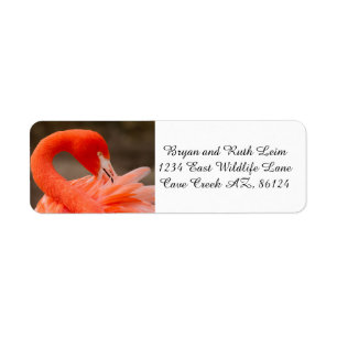 Etiqueta Caribe flamingo