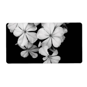 Etiqueta &Cartão postal