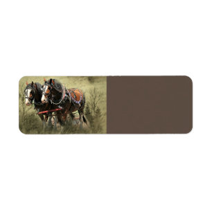 Etiqueta Cartão postal Clydesdale com Vintage Weathered