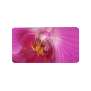 Etiqueta Casamento elegante da orquídea ou vazio geral