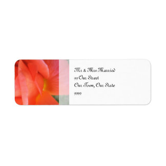 Etiqueta Casamento Rosa de Verão