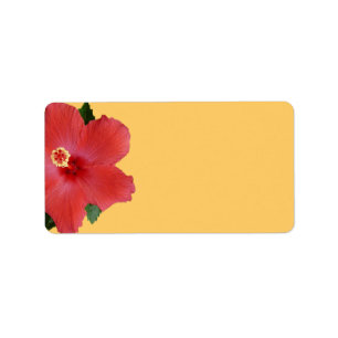 Etiqueta Casamento tropical do hibiscus ou endereço vazio