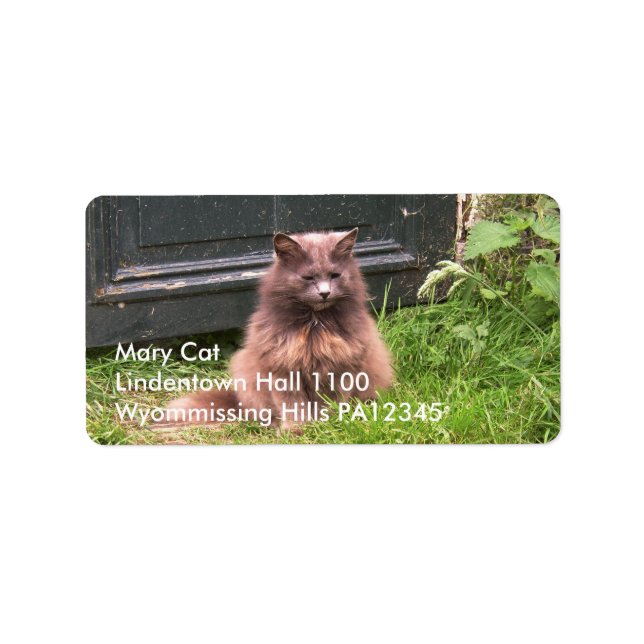 Etiqueta Cat 'Kyra' sentado na grama (Frente)