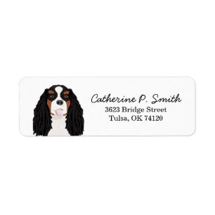 Etiqueta Cavaleiro tricolor King Charles Spaniel Return