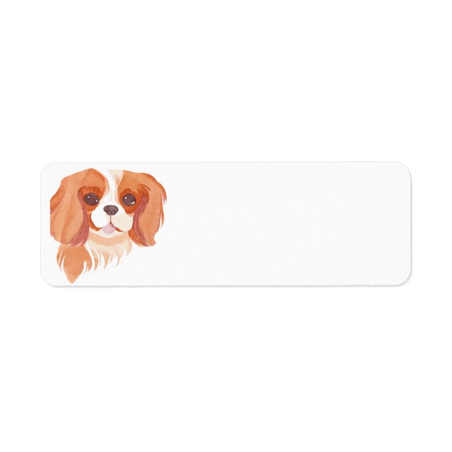 Etiqueta Cavalier King Charles Spaniel (Frente)