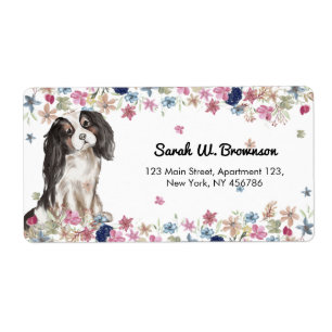 Etiqueta Cavalier King Charles Spaniel Cão de Pequeno Porte