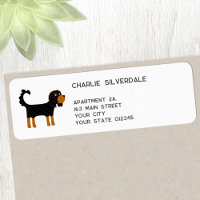 Cavalier King Charles Spaniel Dog Endereço de Devo