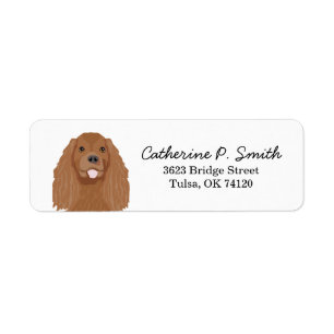 Etiqueta Cavalier King Charles Spaniel Endereço de Devoluçã