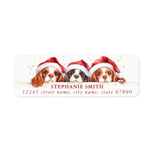 Etiqueta Cavalier King Charles Spaniel Endereço Labels (Frente)