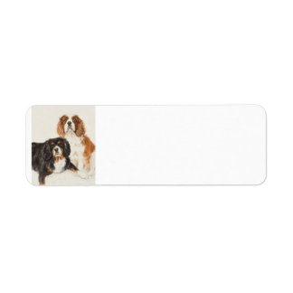 Etiqueta Cavalier King Charles Spaniels pintura
