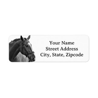 Etiqueta Cavalo Moderno Equestre Preto e Branco