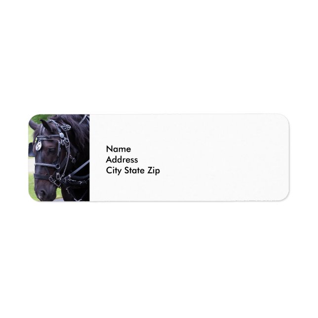 Etiqueta Cavalo Negro 384 (Frente)
