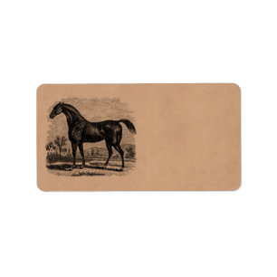 Etiqueta Cavalos retros do puro-sangue do cavalo de raça
