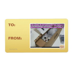Etiqueta Chamada 1-800-LOLCATS