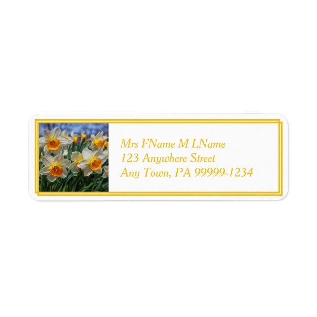 Etiqueta Cheery Daffodils (Frente)