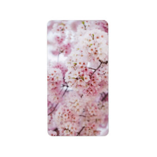Etiqueta Cherry Blossoms