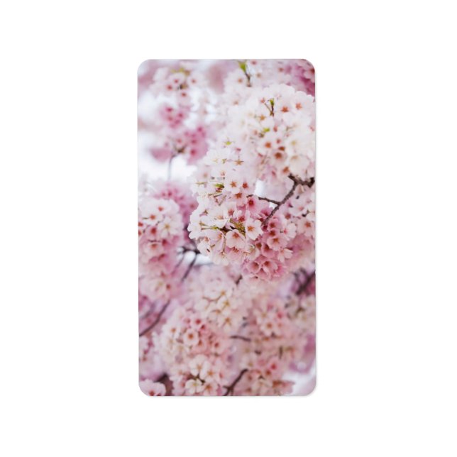 Etiqueta Cherry Blossoms (Frente)