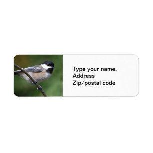 Etiqueta Chickadee em um ramo