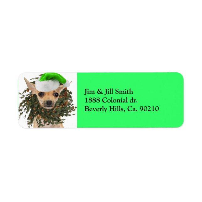 Etiqueta Chihuahua Christmas Wreath & Hat (Frente)