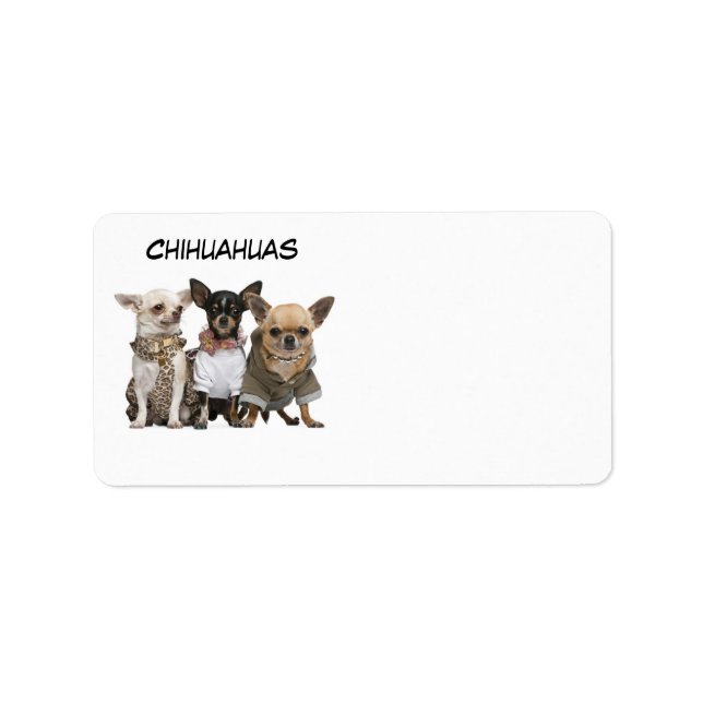 ETIQUETA CHIHUAHUAS (Frente)