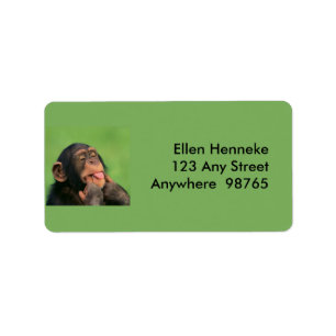 Etiqueta Chimpanzé