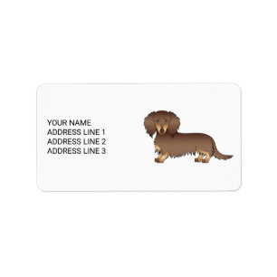 Etiqueta Chocolate e Tan Long Hair Dachshund Cartoon Cão