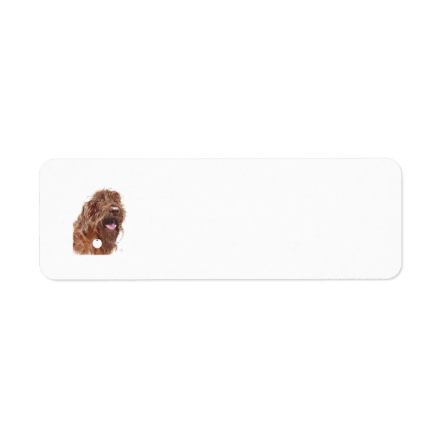 Etiqueta Chocolate Labradoodle (Frente)