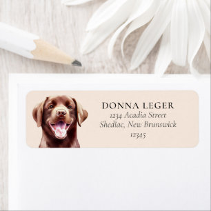 Etiqueta Chocolate Labrador Cão Personalizado Endereço