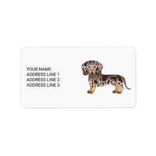 Etiqueta Chocolate & Tan Dapple Pelo Curto Dachshund & Text