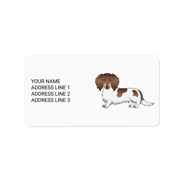 Etiqueta Chocolate & Tan Piebald Dachshund de Pelo Longo &  (Frente)