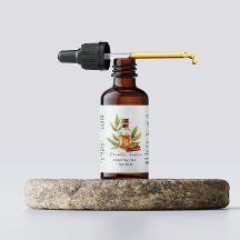 Cinamão Botânico Óleos Essenciais Aquarela