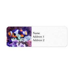 Etiqueta Clownfish e coral