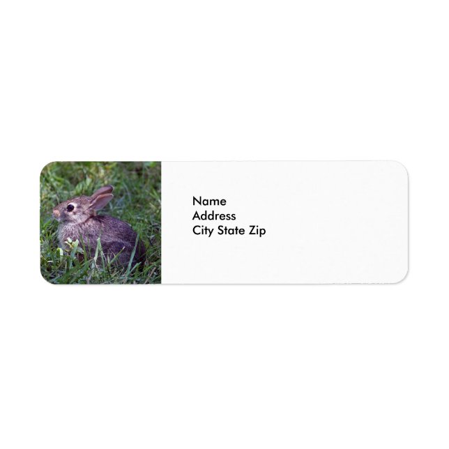 Etiqueta Coelho 8603 (Frente)