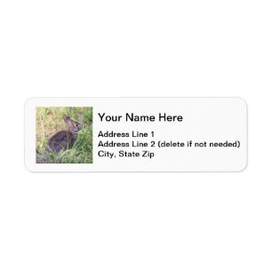 Etiqueta Coelho oriental