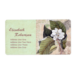 Etiqueta Colagem botânica antiga da magnólia do impressã