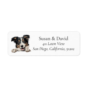 Etiqueta Collie Dog Breed Pet Lovers