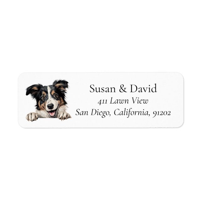 Etiqueta Collie Dog Breed Pet Lovers (Frente)