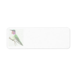 Etiqueta colorida do desenho do colibri