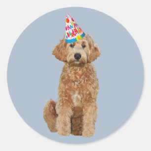 Etiqueta com doodle dourado do aniversário