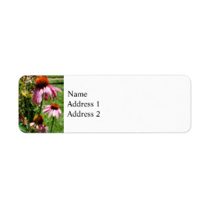 Etiqueta Coneflowers no jardim