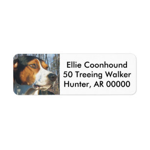Etiqueta Coonhound do caminhante de Treeing