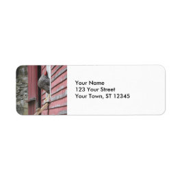 Etiqueta Coop de frango