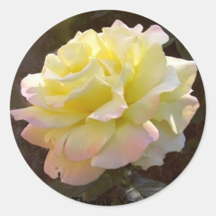 Etiqueta cor-de-rosa da paz