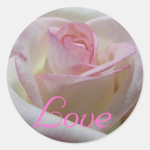 Etiqueta cor-de-rosa do amor