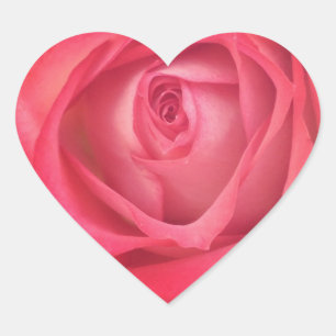 Etiqueta cor-de-rosa do coração do fogo & do gel