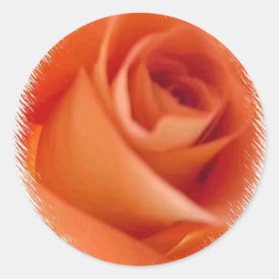 ETIQUETA COR-DE-ROSA DO SELO DO ENVELOPE DO